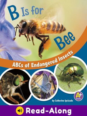 cover image of B Is for Bees